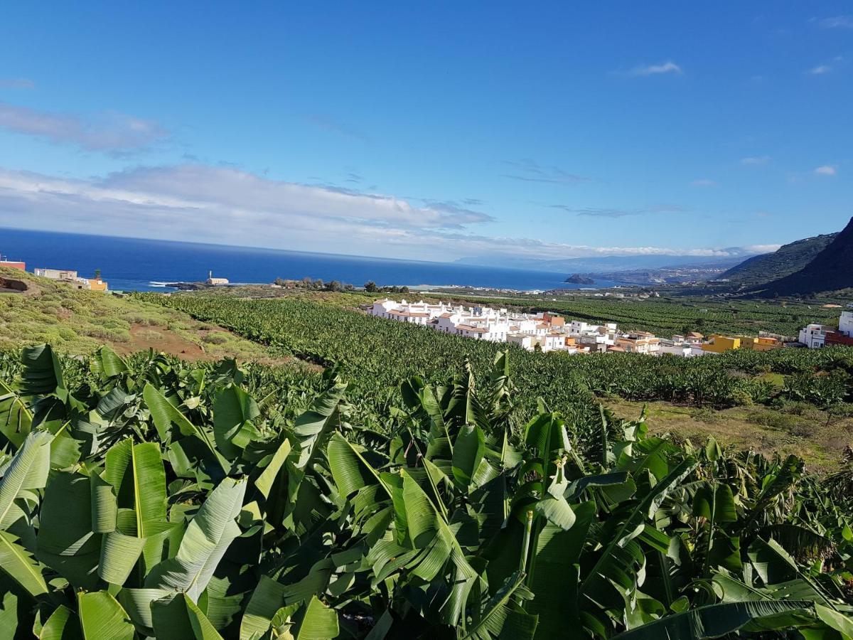 Teno Mountains&Bananas Garden House Lejlighed Los Silos Eksteriør billede